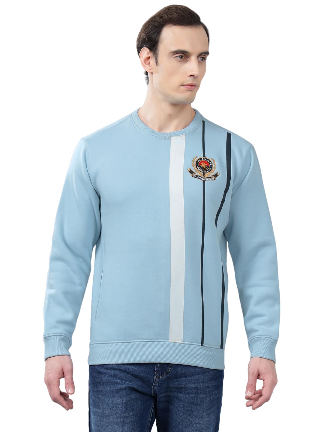 Cantabil Striped Full Sleeves Round Neck Regular Fit Men Casual Sweatshirt | Casual Winter Wear Sweatshirts for Men | Mens Sweatshirts for Winter Wear (P_MSWS00196)-image-9