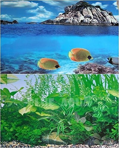 48"(L) x 23"(H) Double Sided Aquarium Background