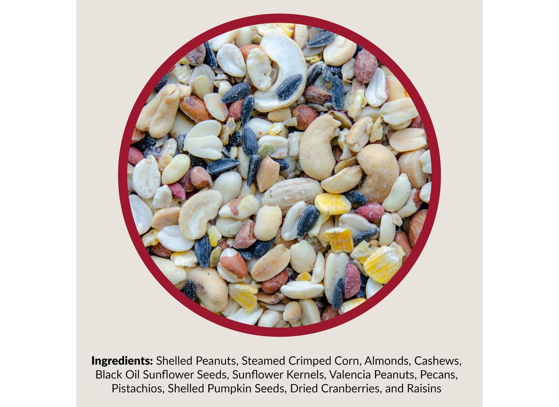 Lyric Fruit & Nut High Energy Wild Bird Mix