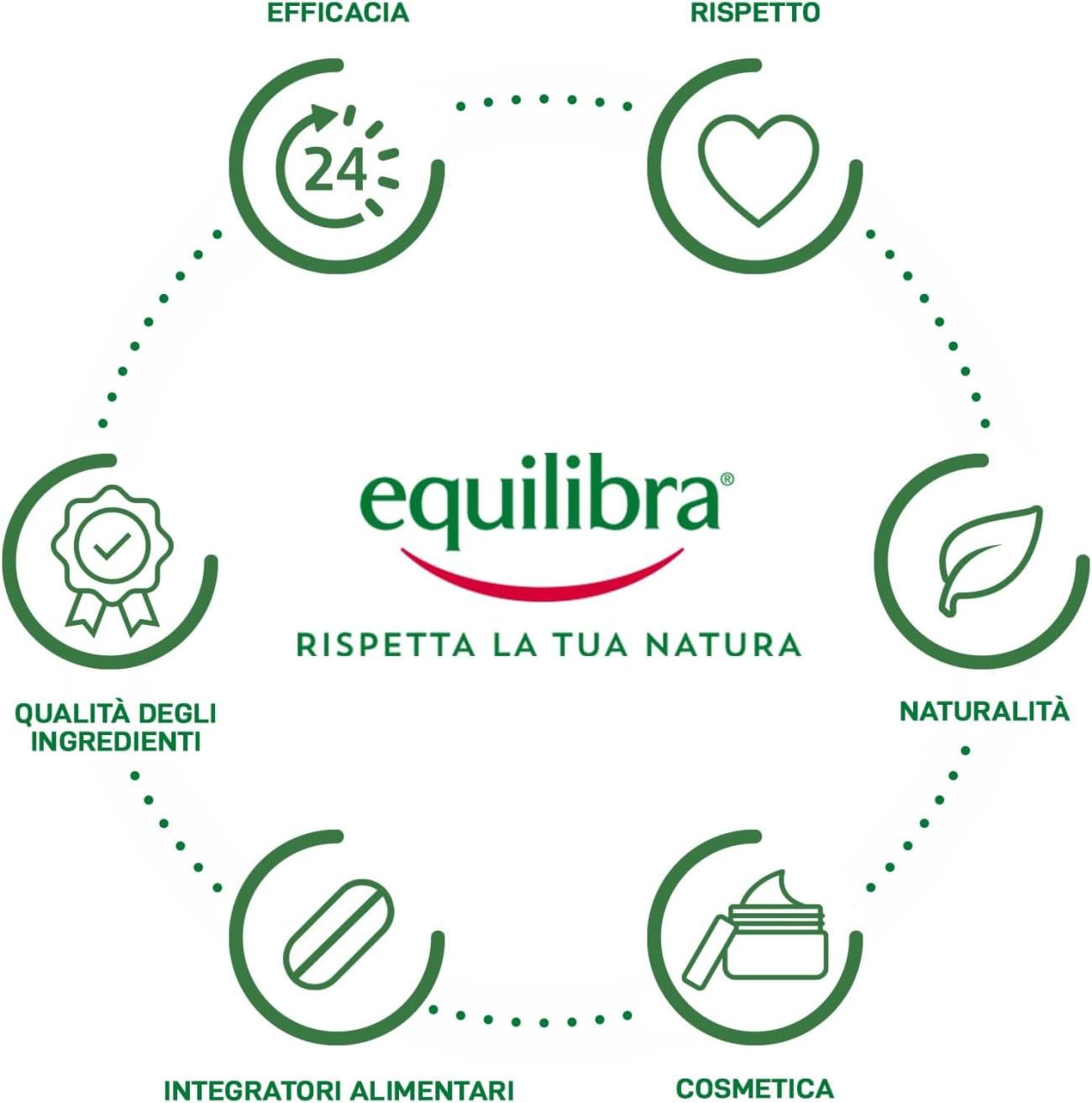 Equilibra, Collagene Vegetale Crema Viso Anti-rughe Rimpolpante, 50 ml , con Fitocollagene da Semi di Zucca e Collagen Amino Acids, Vitamina C, Pro-vitamina B5, Dermatologicamente Testato
