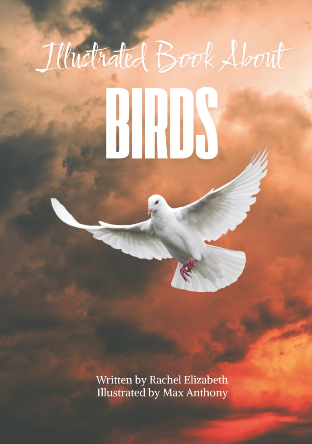 Illustrated Book About Birds