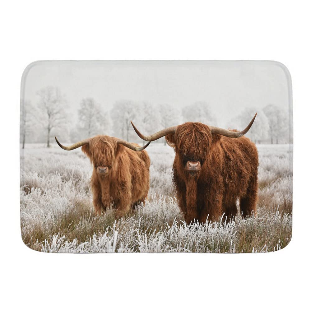 711 Doormat Non-Slip Door Mat Indoor Highland Cow Walking In Grassland Animal Wildlife Western Farm House Grassland Welcome Mats For Entrance Kitchen Patio 40X60Cm