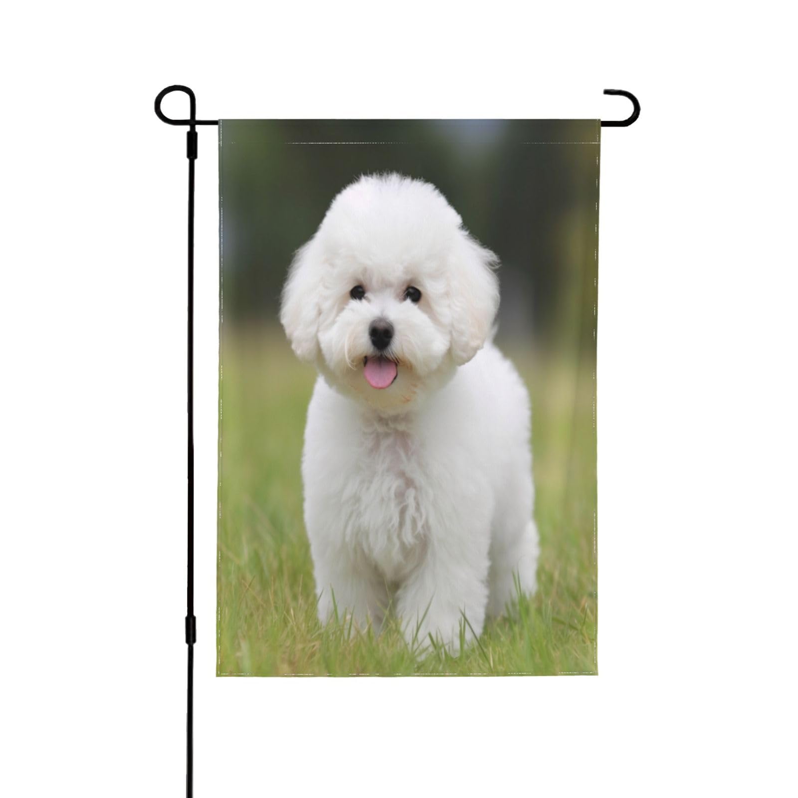 Drapeau de jardin Bichon Frisé grande taille 71x101 cm pour décoration extérieure de maison
