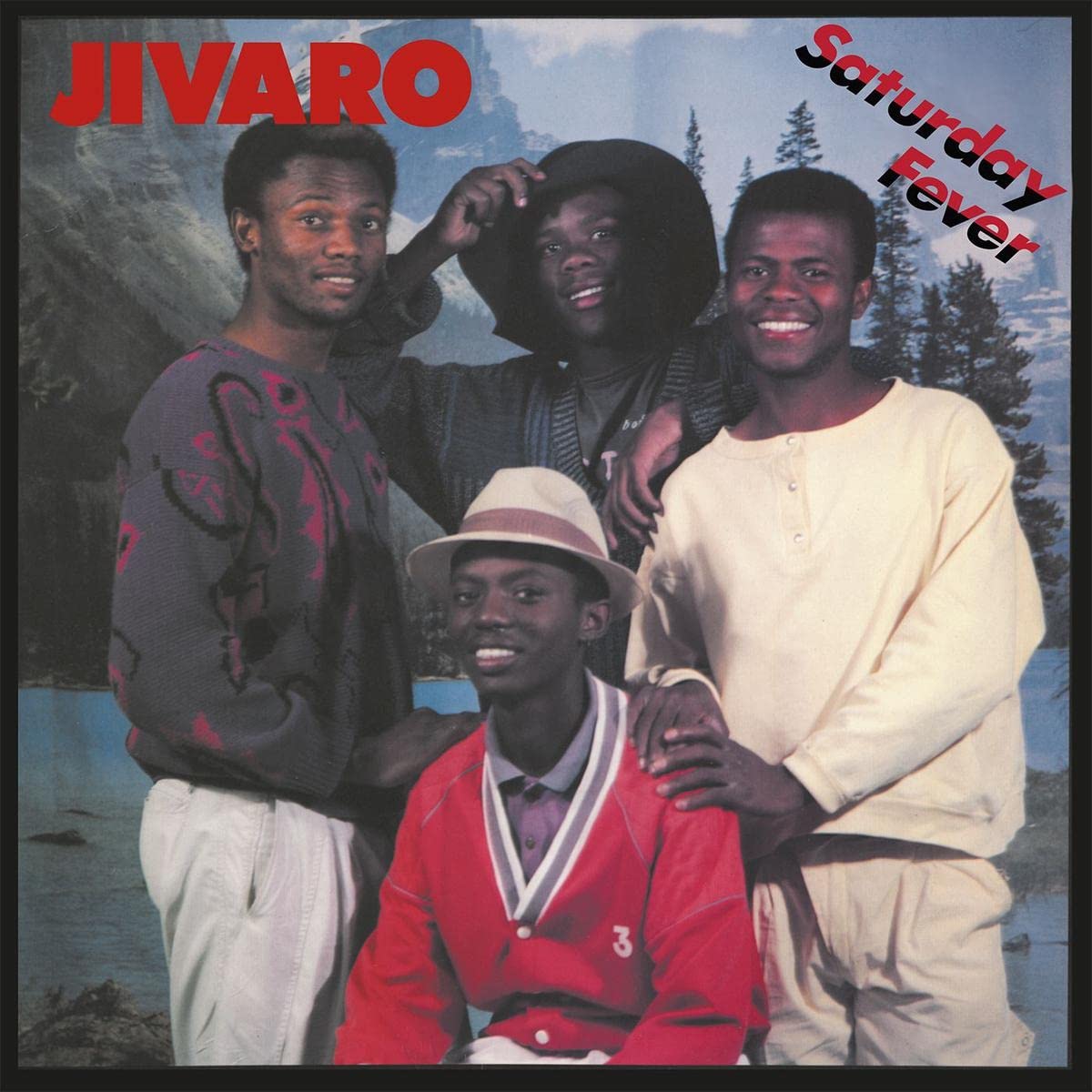 SATURDAY FEVER [VINYL]