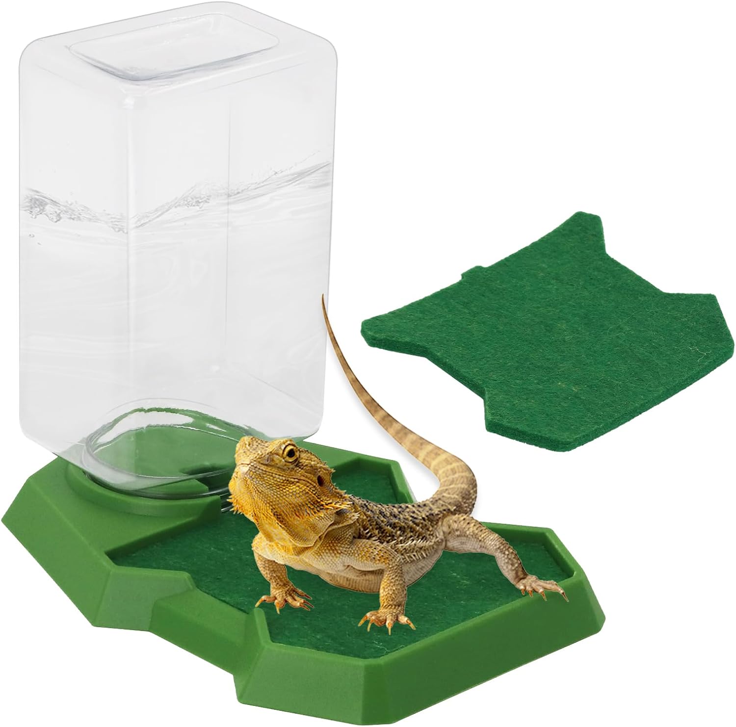 Reptile Water Dish Food Dish with Bottle, Prevent Drowning Water Dispenser, Water Feeder Automatic Water Feeding Accessories for Terrarium Tank, Turtle, Geckos, Lizards, Amphibians (Green)