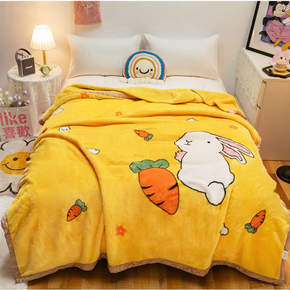 Fleece Blanket Many Size, Plush Korean Faux Mink Blanket, 2 Ply Printed, Heavy Blanket for Winter, 8 LB/7LB/6LB Soft Microfiber Sofa Fleece Blankets,F,150x200cm