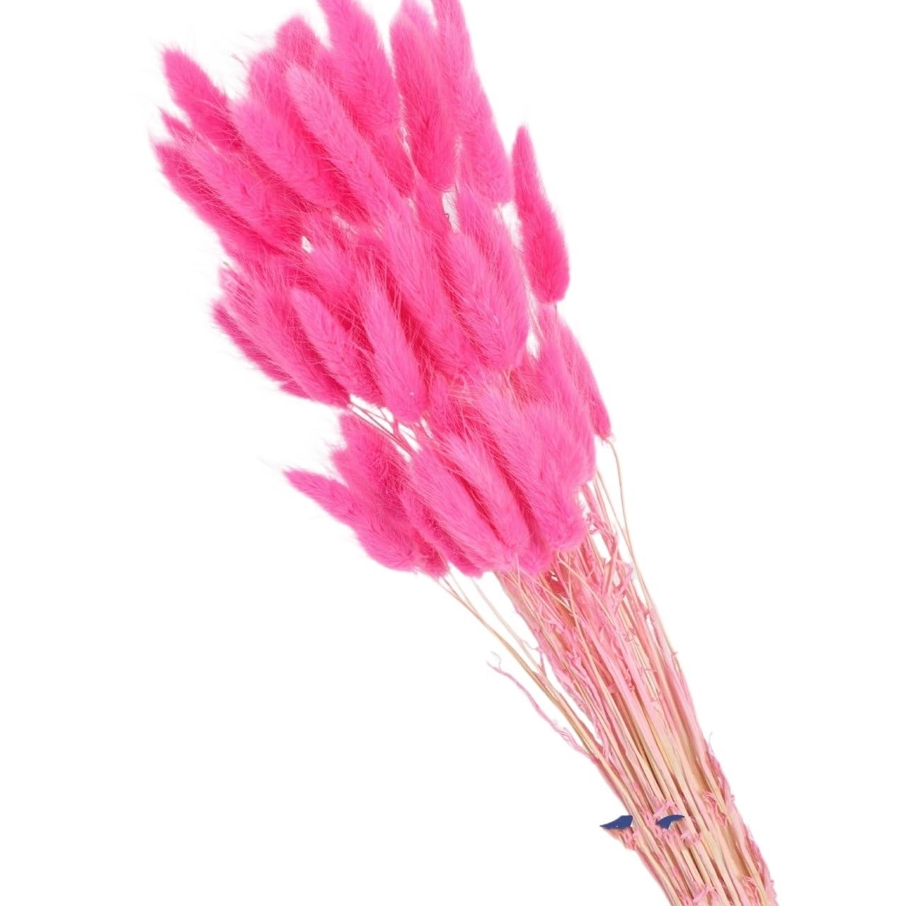 Sztuczna trawa Pampas, Wielokolorowe pampasowe ogony króliczka suszone kwiaty 60 lub 80 szt. Ślub Boże Narodzenie dekoracje dla domu DIY(Meat Pink,60pcs)