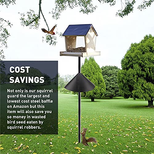 Best Bird Feeder Accessories Buying Guide Gistgear