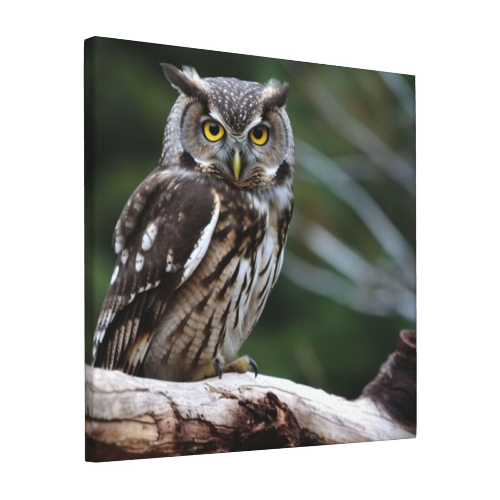 FodPand Wild Owl Birds Canvas Wall Art for Living Room Wall Decor 12"x12" Modern Artwork Painting Pictures Hanging Canvas Prints Aesthetic Wall Art for Bedroom Bathroom Office Wallart Decor