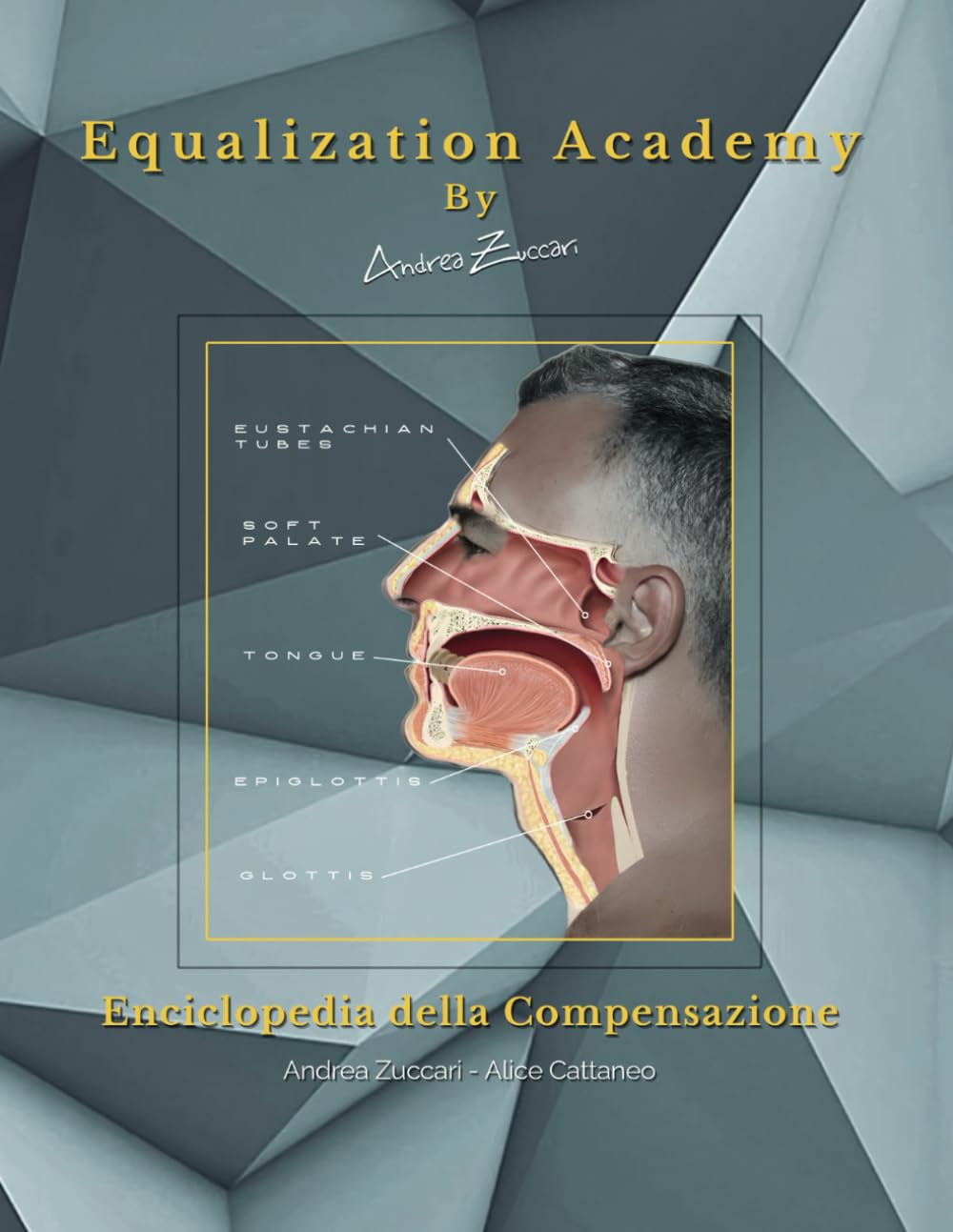 Equalization Academy - Enciclopedia della Compensazione