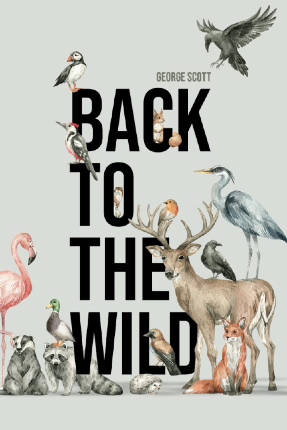 Back to the Wild: Tales from a wildlife sanctuary in Cumbria