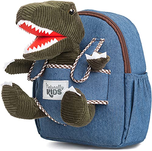small dinosaur backpack