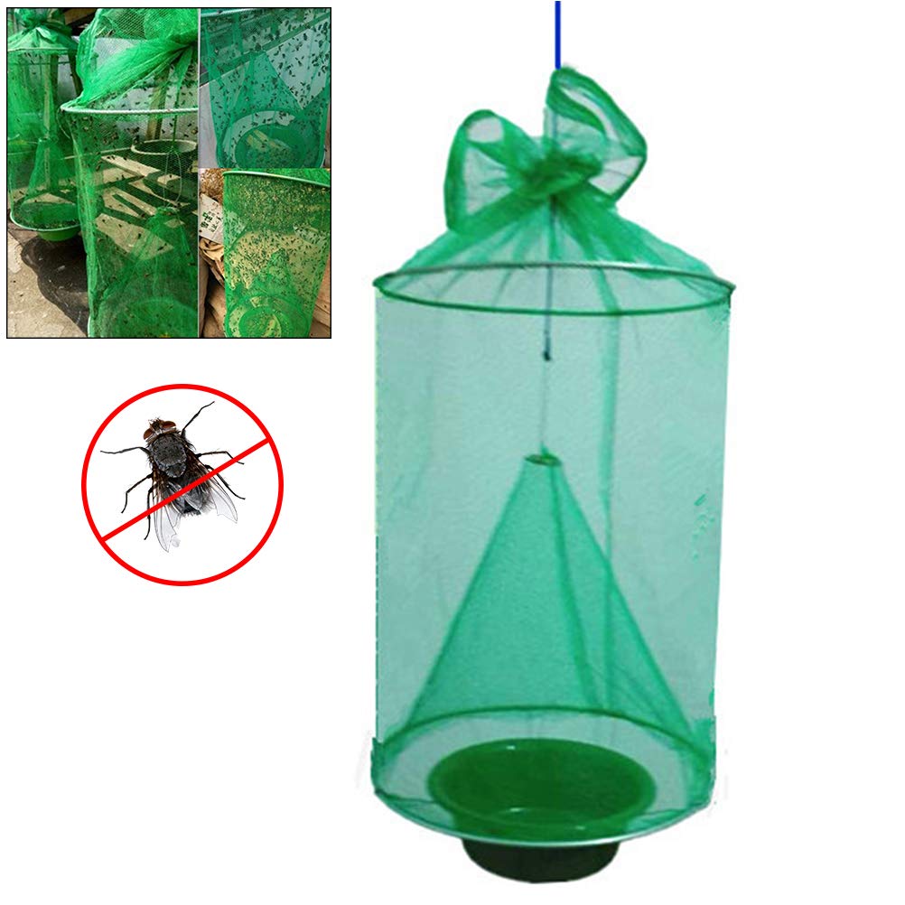 Buy Bweele Fly Trap, Outdoor Wasp Trap Killer Wasp Repellent with