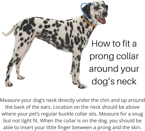 Miniatura 5 de 0.089 in con placa central y anillo de fijación de correa (sin collar de entrenamiento de tirón)