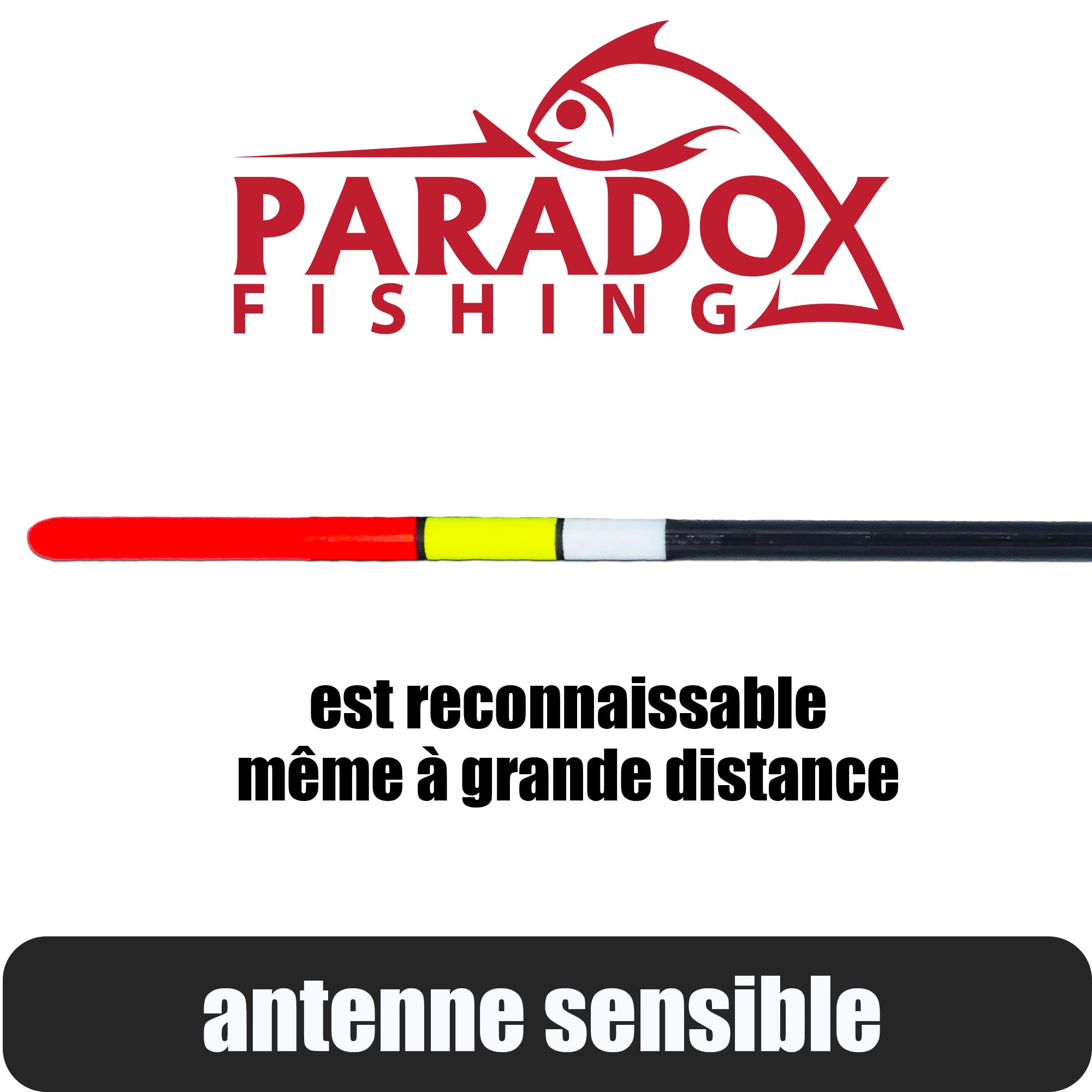 Paradox Fishing Lot de 5 flotteurs de pêche 2g 4g 8g pré-blanchi