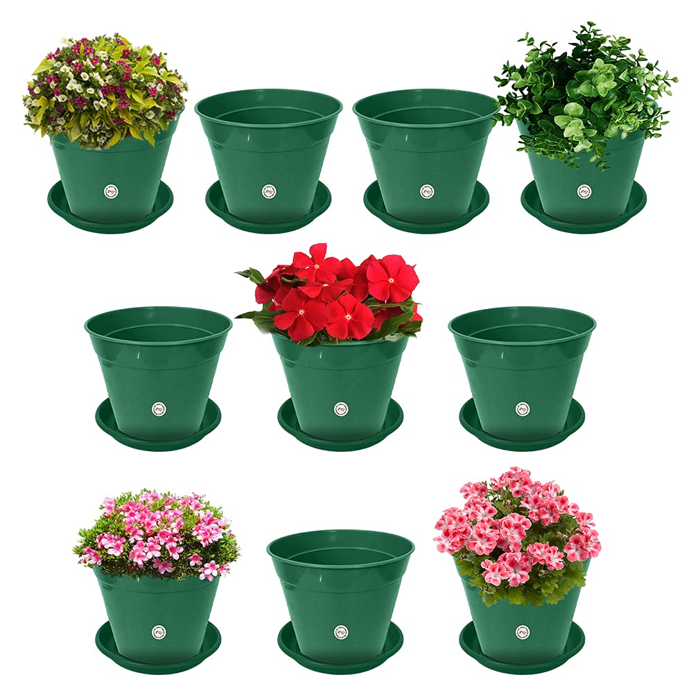 Kraft Seeds Gamla Pots With Bottom Plate (10 Pcs, 6 Inch, Green) | Gamla With Drainage Holes | Planters for Home Plants | Flower Pots With Drain Holes and Trays | Plastic Planting Pots for Home Garden (B09CNG7MRG) Amazon Price History, Amazon Price Tracker