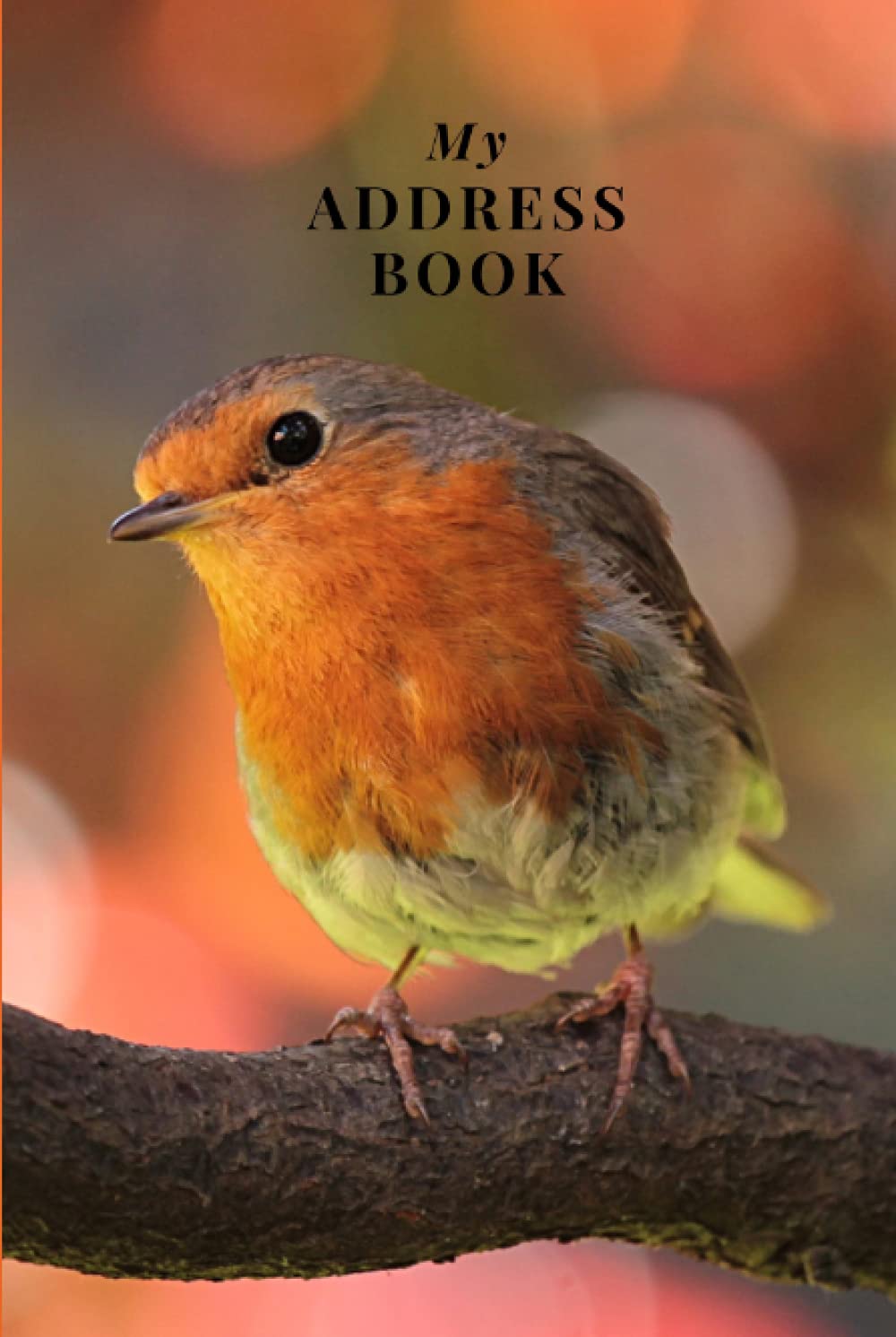My Address Book: Robin | Address Book for Names, Addresses, Phone Numbers, E-mails and Birthdays