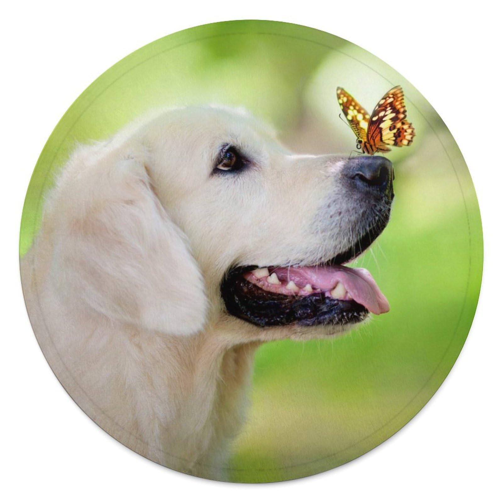 Couverture ronde en flanelle de 140 cm avec motif haute définition Golden Retriever