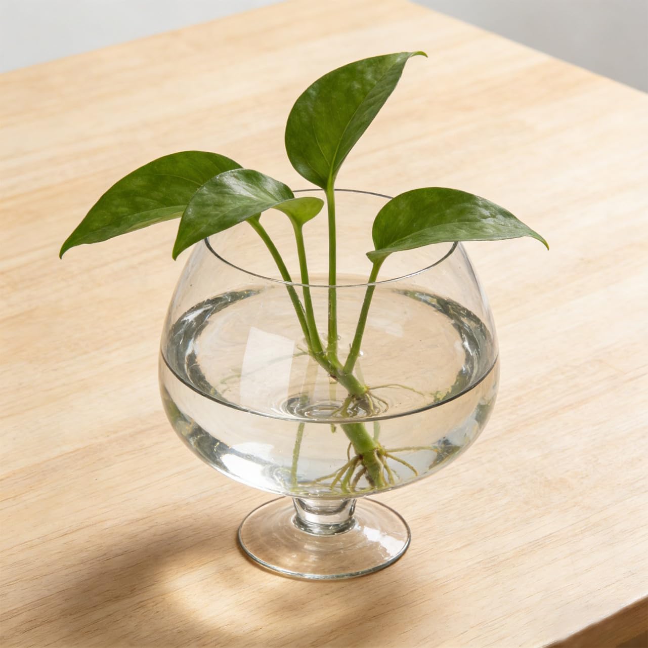Homoyoyo Acquario Multifunzione in Vetro Trasparente per Pesci Rossi Betta, Vaso Decorativo da Scrivania per Ufficio e Casa, Acquario Decorativo Ecologico 19x19 Cm