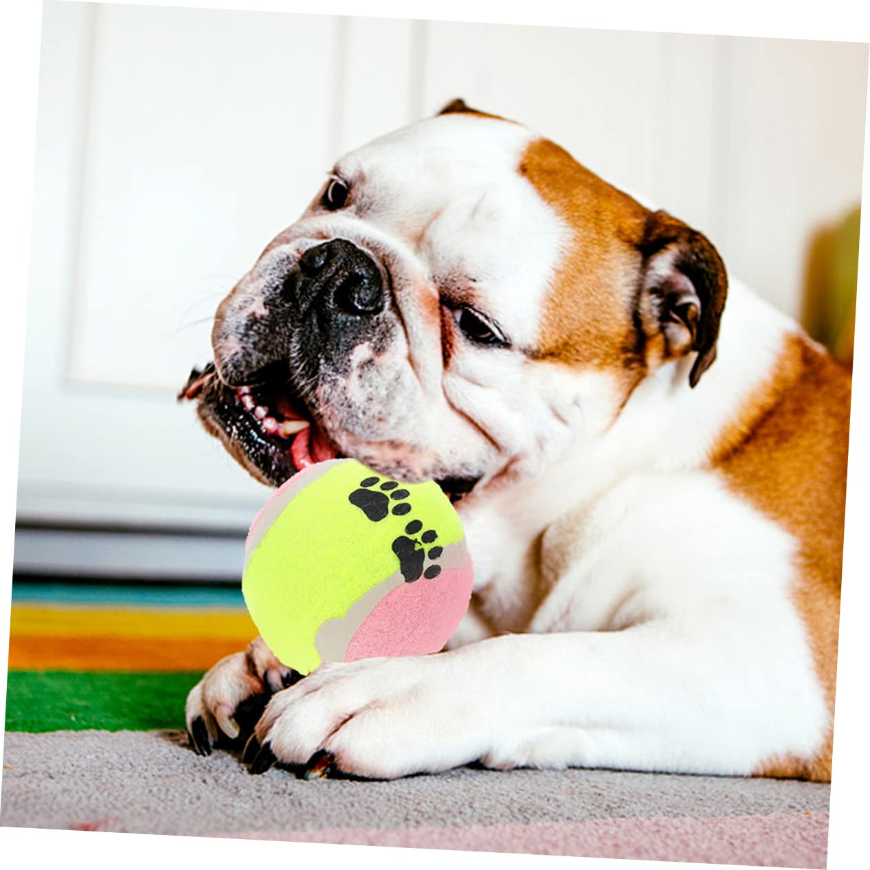Happyyami Hundetraining 16 Stück Hundespielzeuge Für Den Robusten Innen- Und Außenbereich Zufällige Farbe