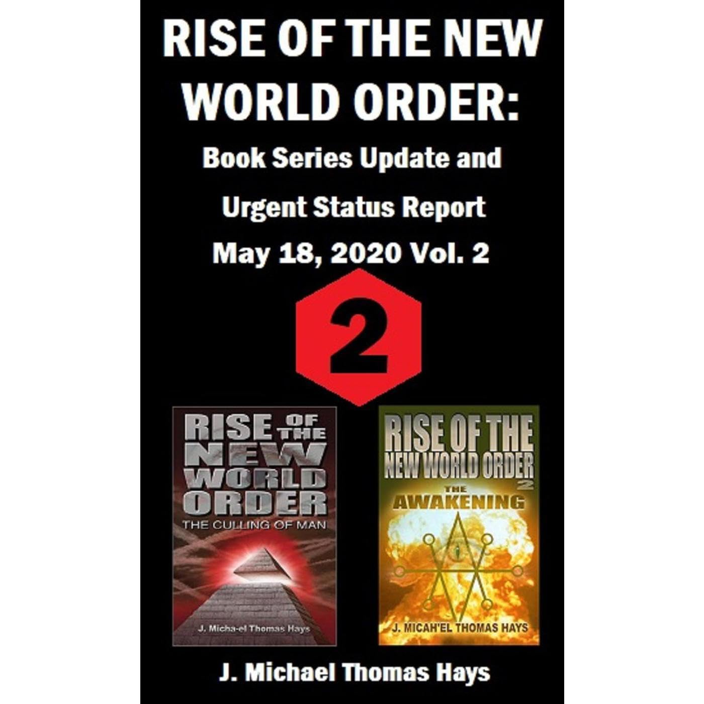 Rise of the New World Order: Book Series Update and Urgent Status Report