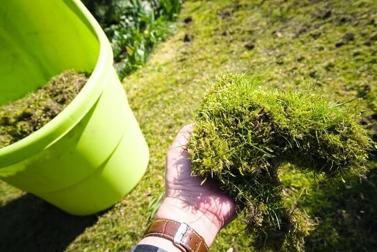 Eisendnger Fr Rasen Rasendnger Gegen Moos Moosverdrnger Eisensulfat  50m2 1kg : Amazon.de: Garten
