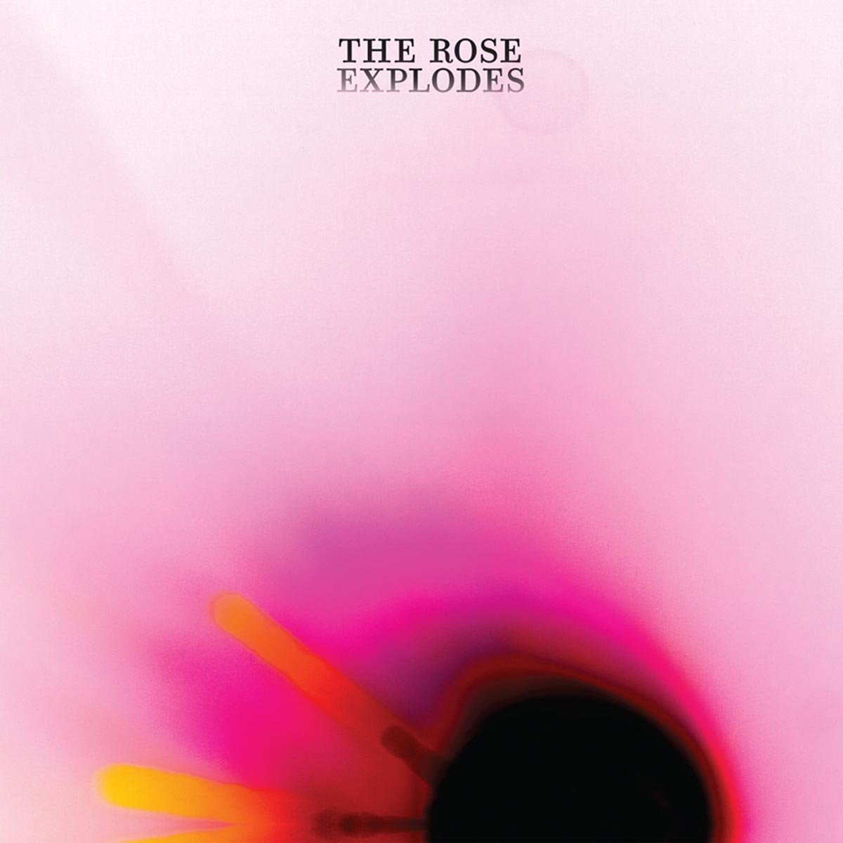 The Rose Explodes [VINYL]