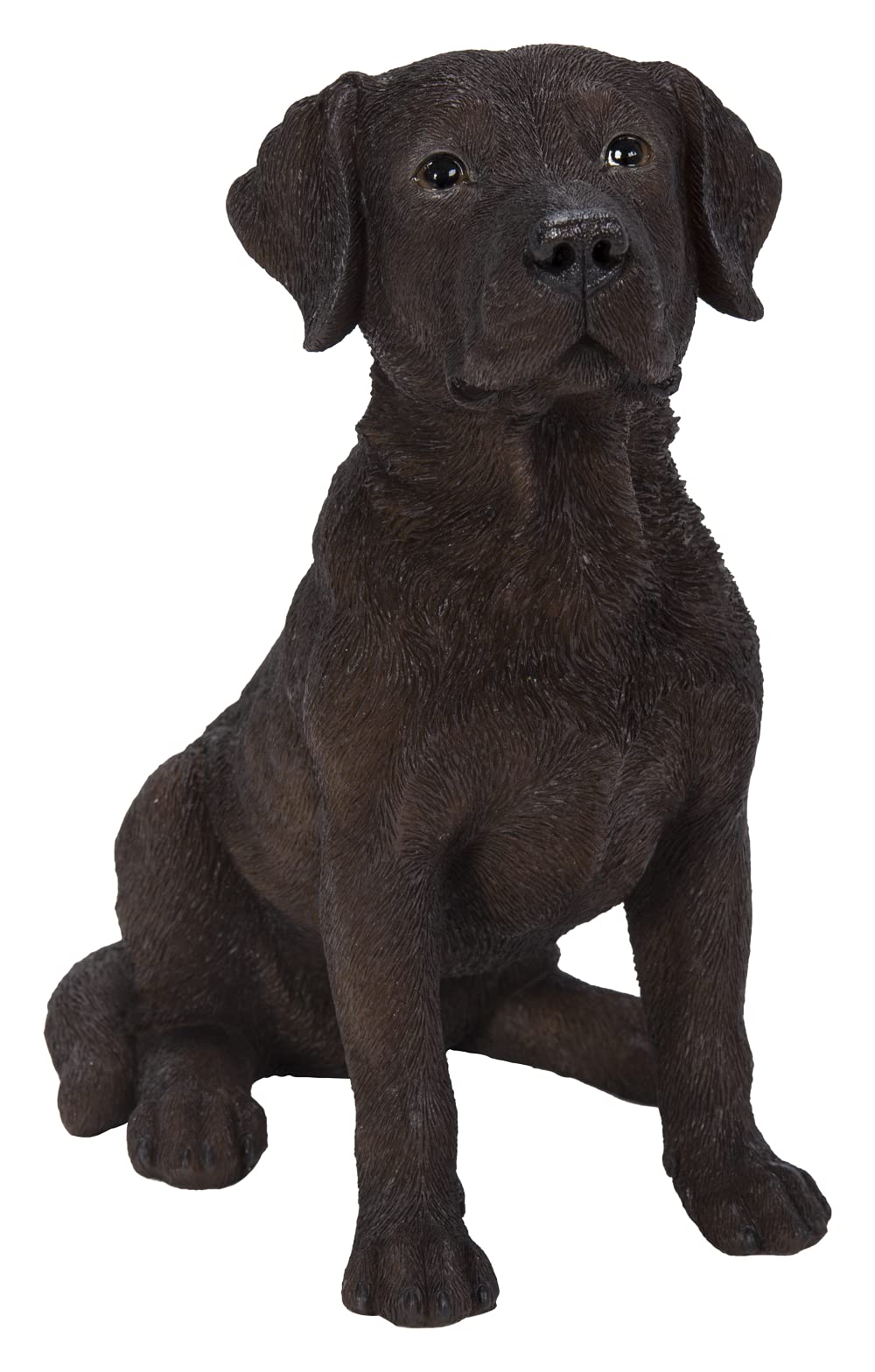 Vivid Arts (Chocolate Labrador Sitting