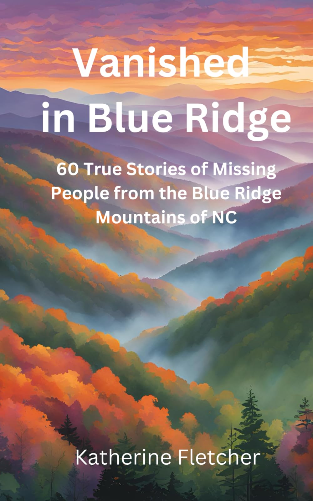 Vanished in the Blue Ridge: 60 True Stories of Missing People from the Blue Ridge Mountains in NC