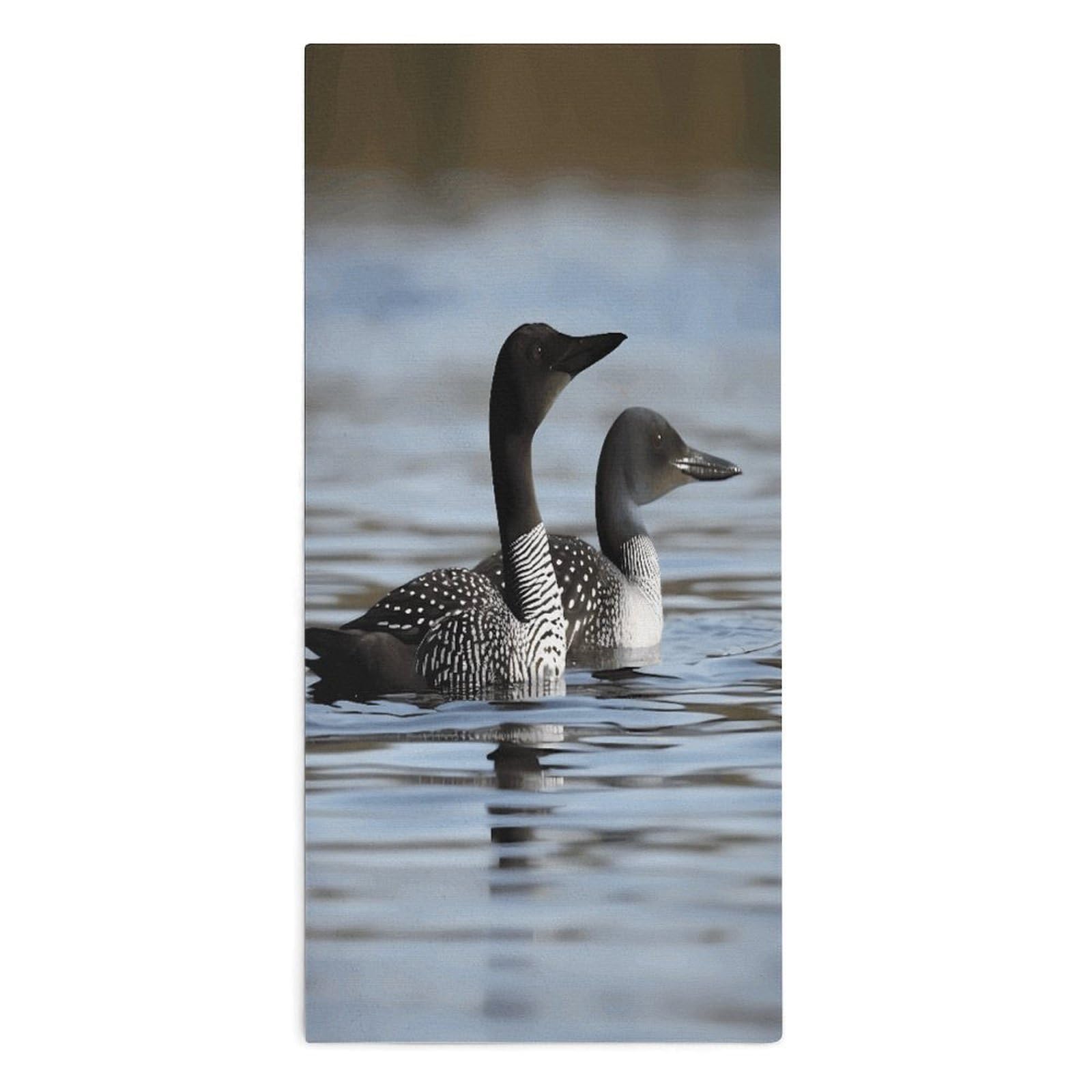 YUXBVKRS Loon Birds Hand Towels for Bathroom 14x29 Inch