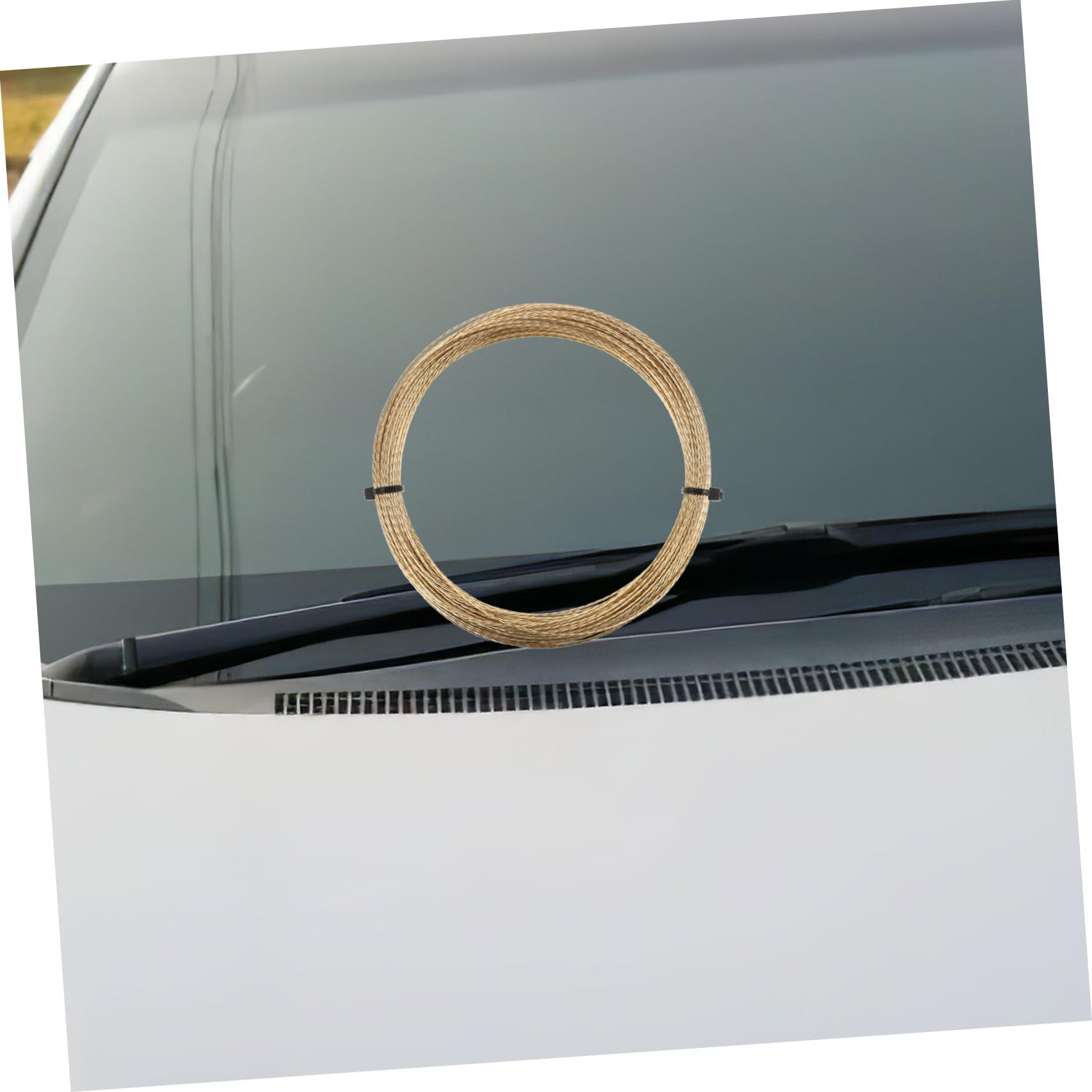 PACKOVE 1 Roll Windshield Cutting Wire Durable Strand High Strength Steel for Removal Lightweight Portable Windshield Tool for Efficient Cutting Essential for Automotive Repair