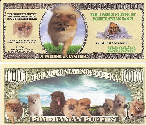 Pomeranian $Million Dollar$ Novelty Bill Collectible