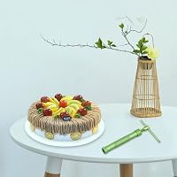 Vicloon Fondant Prés - Rozsdamentes Acél Sütemény Díszítő Eszköz 20 Formával - Zöld Marcipán Extruder Kézműves Agyaghoz és Cukrászathoz 7