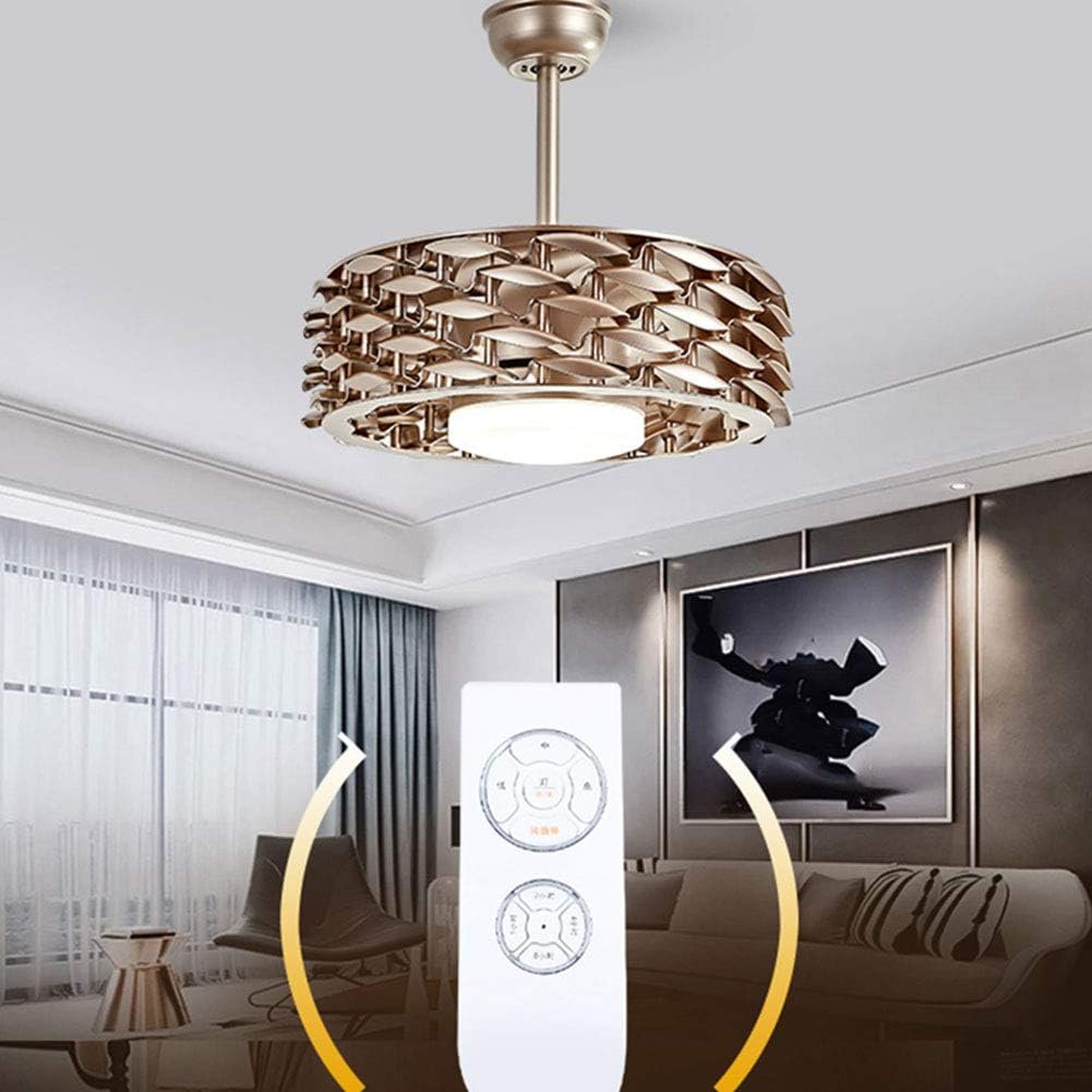Limited 22 Inch Bladeless Ceiling Fan, 3 Color Dimmable Ceiling LED Light Chandelier Remote Control (Gold)