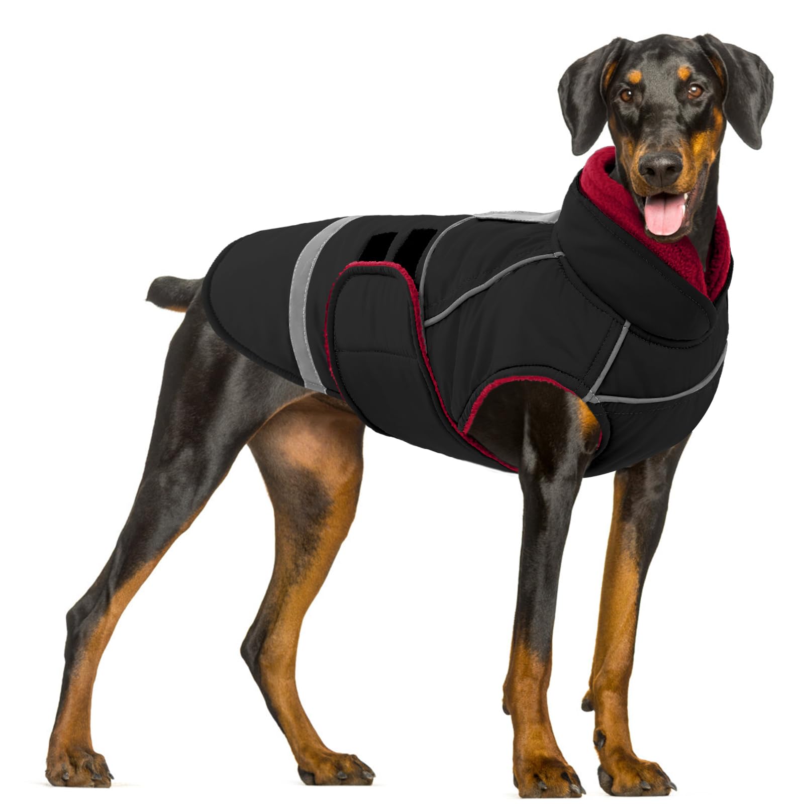 CITÉTOILE Impermeabile e Antivento per Cani - Giubbotto Invernale Cane Caldo Riflettente - Cappottino Cane con Collo di Pile & Foro, Adatto per cani piccoli e medi, Nero, XL