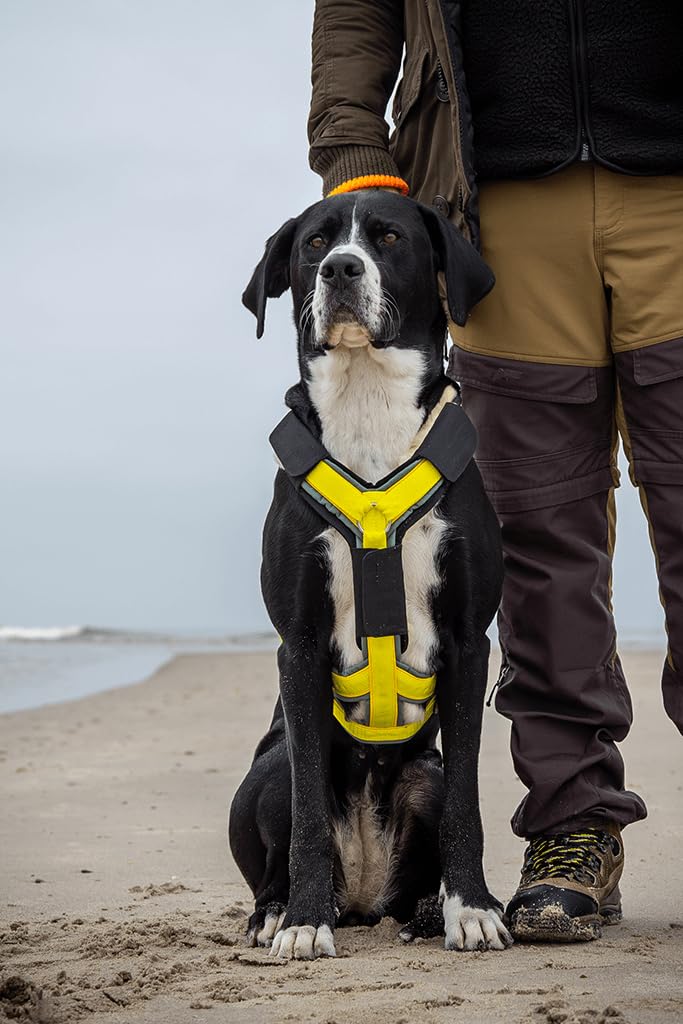BUMER Lammfell Adapter für Y-Geschirre, passend für alle gängigen Y-Hundegeschirre (L)