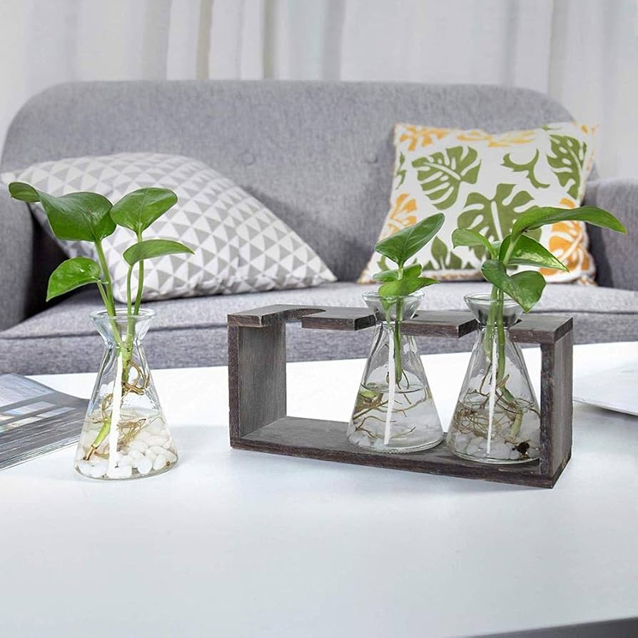 Amazon.co.jp: 素朴な3ガラスビーカー花瓶水植えガラス花瓶