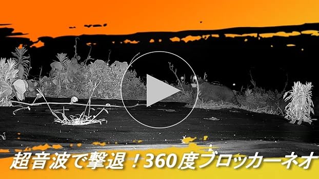 迅速 Amazon.co.jp: 猫よけ 1個 動物よけ ソーラー アニマル