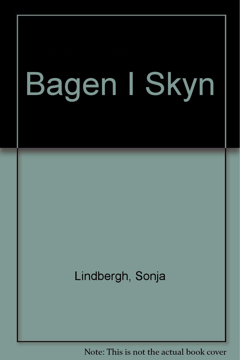 Bagen I Skyn