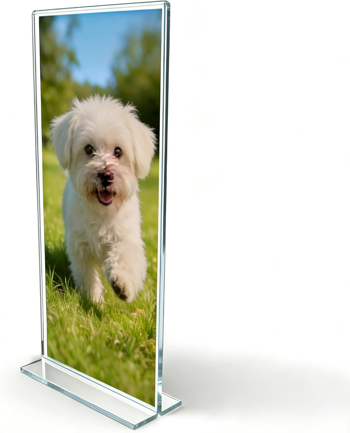 FixtureDisplays® 6PK 4 x 9" Clear Acrylic Sign Holder for Tabletops, Vertical Table Tent Frame Photo Sign Menu, Bottom Insert 11193-2-4X9-6PK-NPF Peel Off Protective Film (White) Before use.