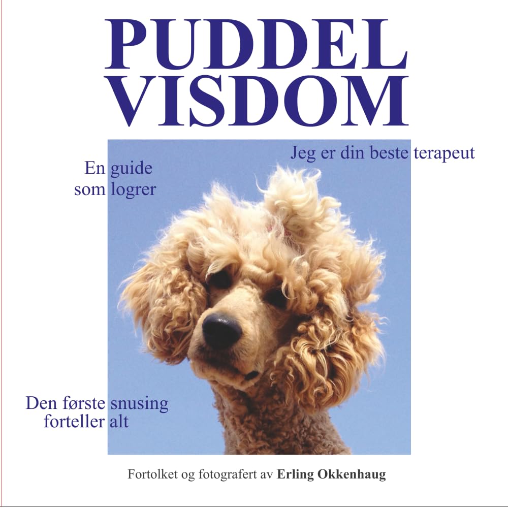 PUDDELVISDOM livre contre le stress quotidien grâce aux secrets d'un guide inspirant