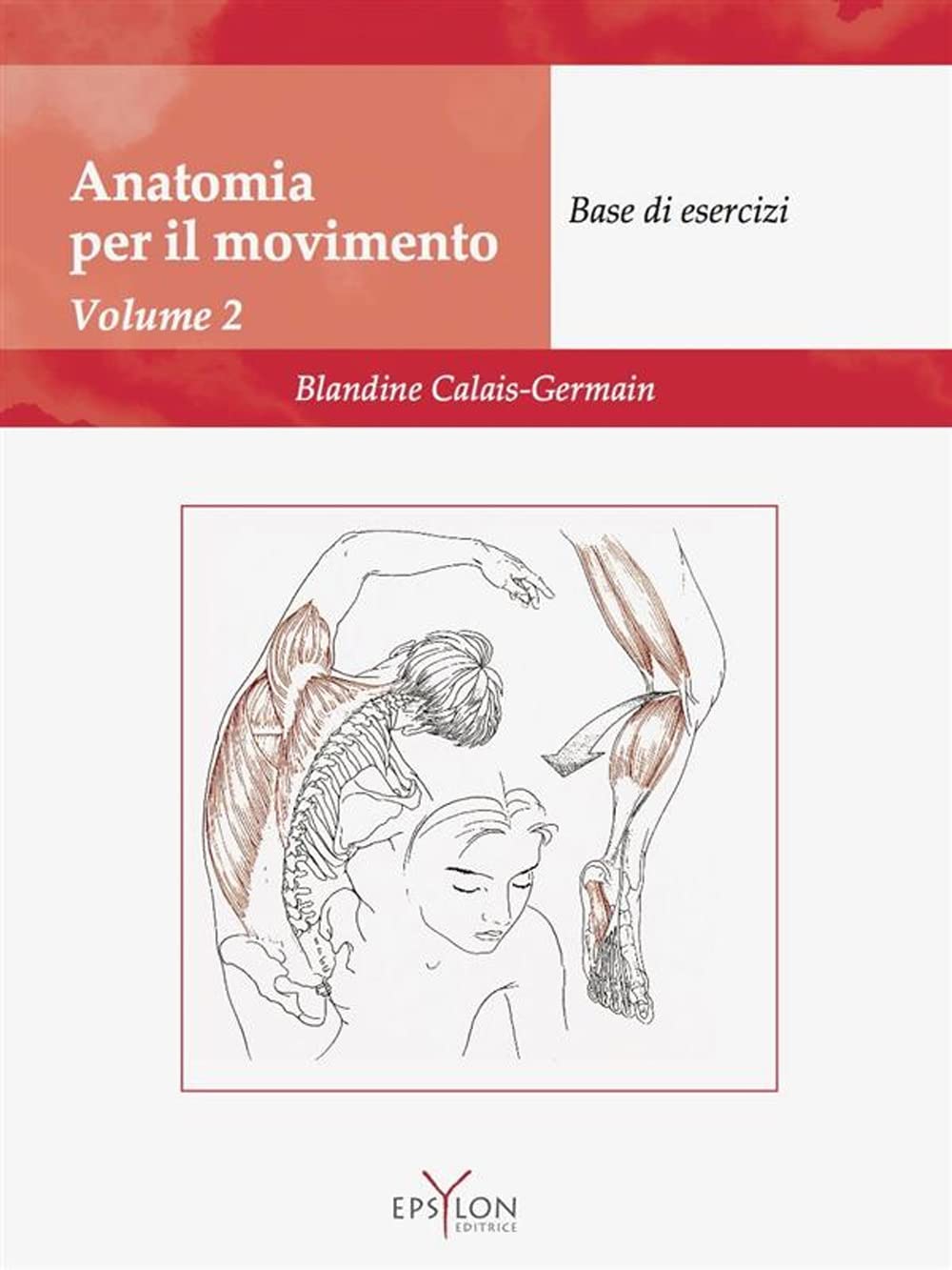 Anatomia del movimento. Ediz. illustrata. Base di esercizi (Vol. 2)