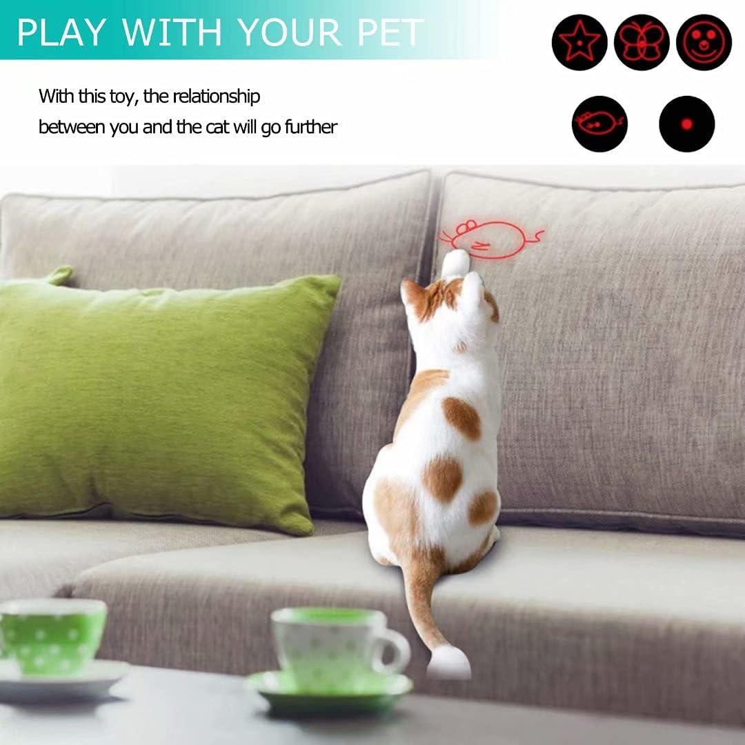 Cat Toys Indoor Outdoor, Cat Toy for Cats Dogs, Indoor and Outdoor Kitten Toys