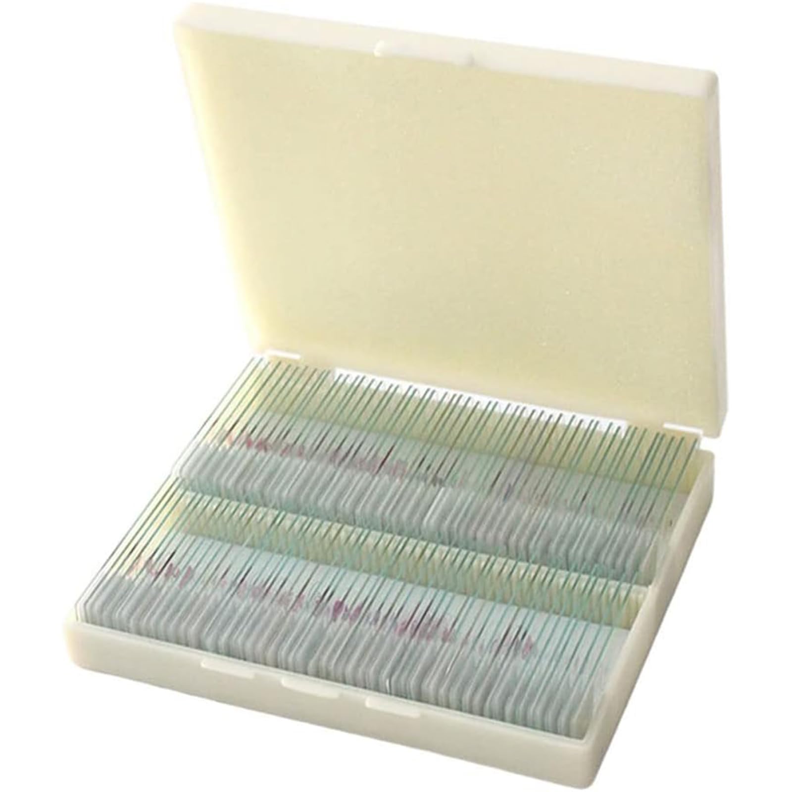 Portaobjetos De Vidrio para Microscopio, 200 Piezas De Secciones De Muestras Biológicas Mixtas De Animales/Plantas/Tejidos Humanos/Tejidas, Diseño De Esquinas Redondeadas