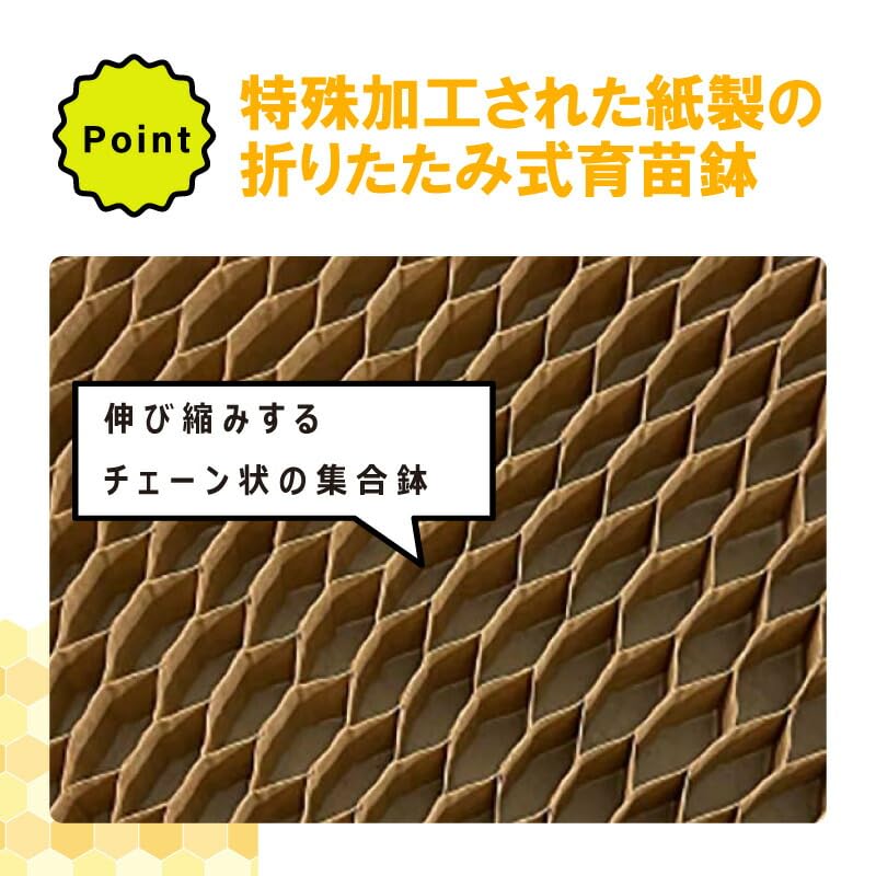 Amazon.co.jp: 75冊 チェーンポット ペーパーポット LP303-15 263鉢