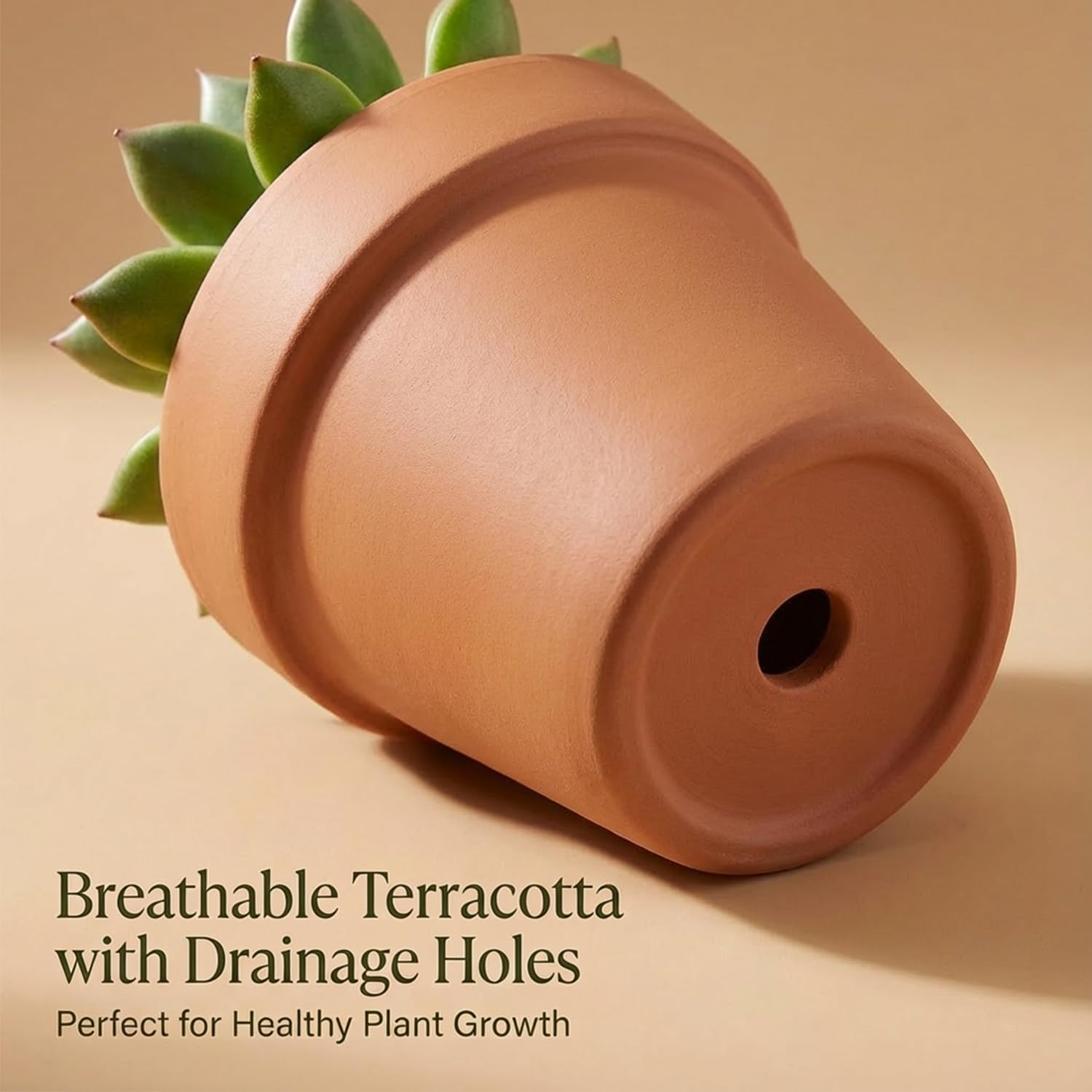 Vasi per piante in terracotta da 10,2 cm, con sottovaso, confezione da 6 | Vasi da fiori in argilla, drenaggio, ideali per piante, artigianato, bomboniere