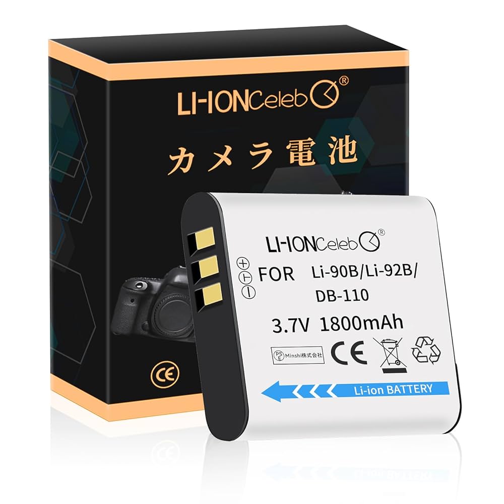 Ricoh リコー CX6 充電器 バッテリー 3個 SDカード 説明書あり Ricoh リコー CX6 充電器 バッテリー 3個 SDカード 説明書あり