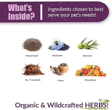Amber NaturalZ Vibactra Immune Support Herbal Supplement for Dogs, Cats, Birds, Guinea Pigs, and Rabbits | Pet Herbal Blend for Overall Health | 1 Fluid Ounce Glass Bottle | Manufactured in the USA