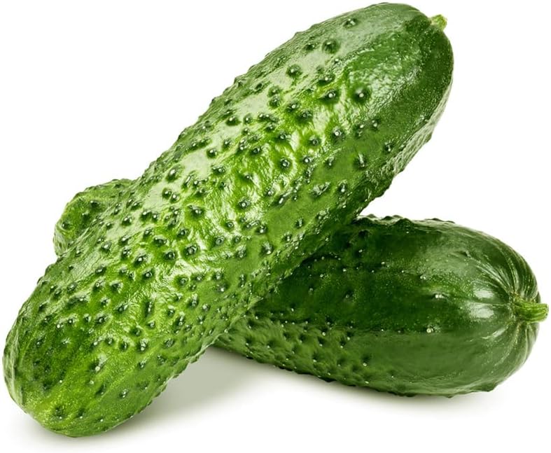 Miniatura 5 de Pepinos-Carolina F1 (30 Semillas)