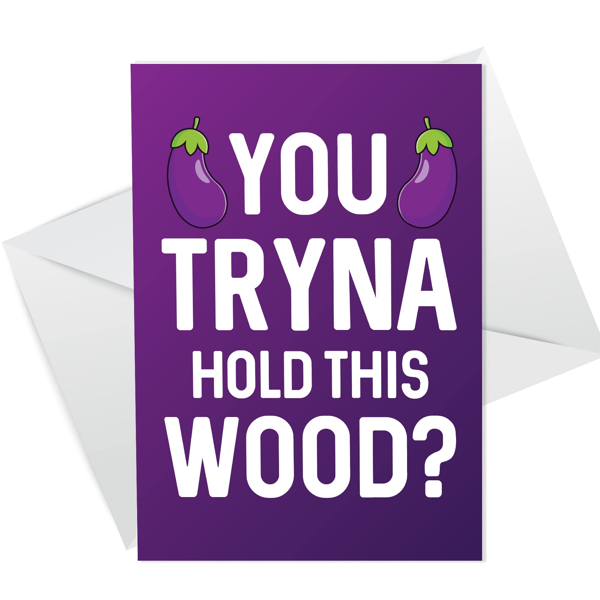 RED OCEAN Rude Valentines Anniversary Card Hold This Wood Funny Girlfriend Wife Cards From Boyfriend Husband